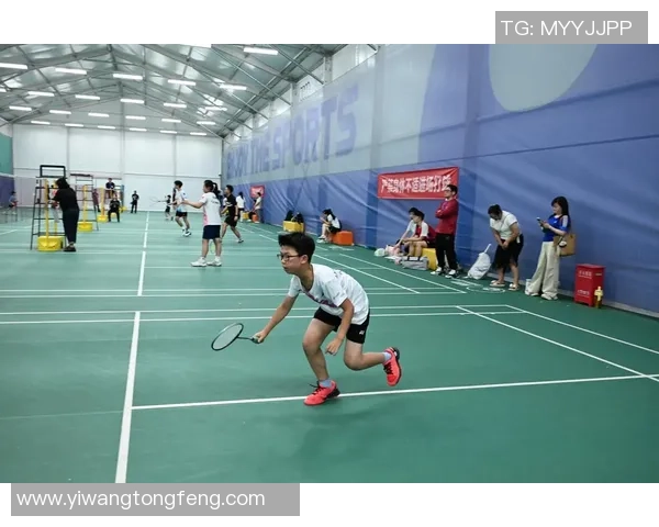 成都羽毛球队意识对比深度解析与发展潜力探讨