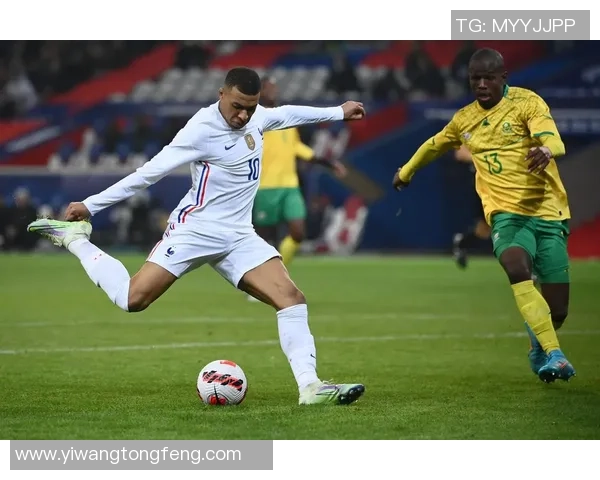 法国足球明星bizd的传奇之路与辉煌成就全解析